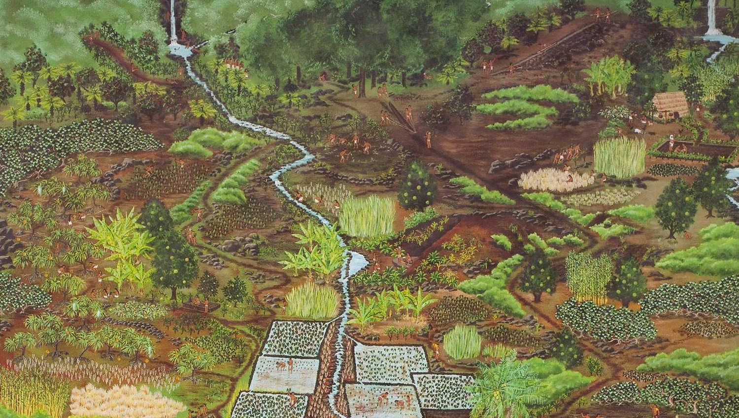 Painting of an ahupuaʻa: loʻi kalo terraces, an irrigation stream, and cultivated uplands running down from the mountain